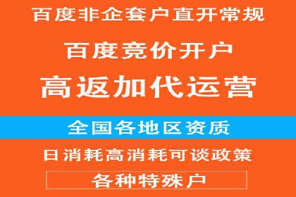 成功案例揭秘：百度竞价代运营如何助力企业腾飞